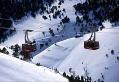 Resort Information Arinsal