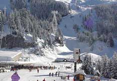 Resort Information FLAINE