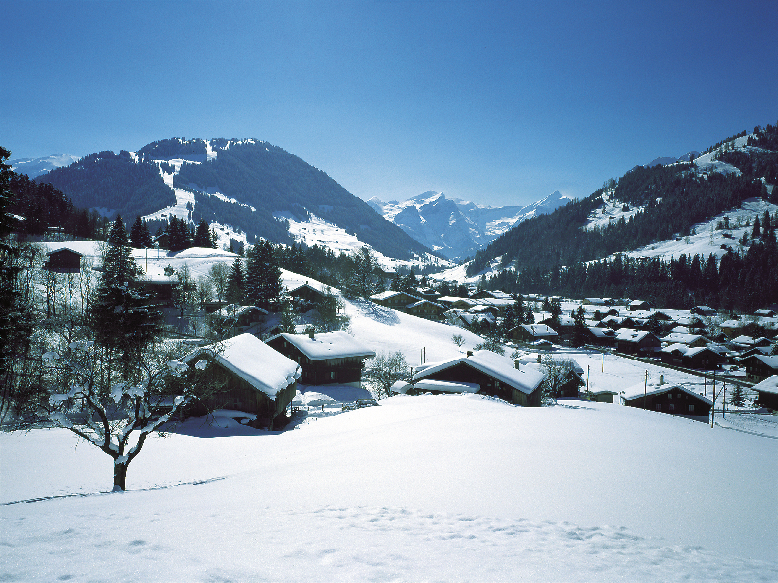 Resort Information Gstaad