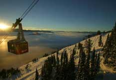 Resort Information Jackson Hole