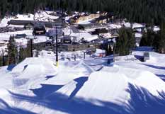 Resort Information Mammoth