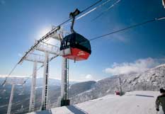Resort Information Stowe
