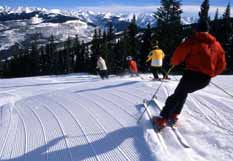 Resort Information Vail
