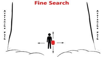 Fine Search